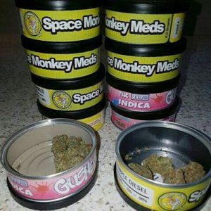 Monkey Meds